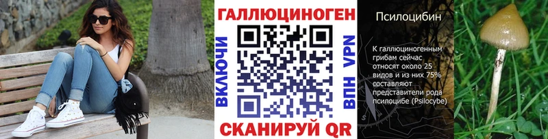 купить  сайты  Данков  Псилоцибиновые грибы Magic Shrooms 